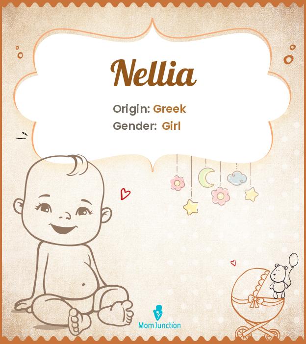nellia nellia