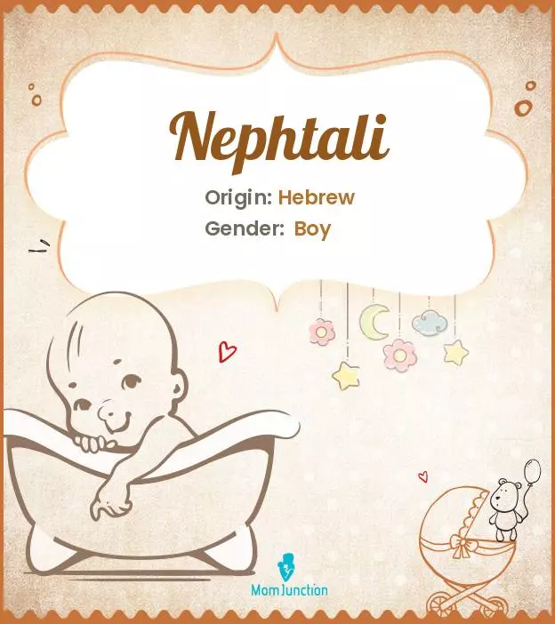 Baby Name Nephtali Meaning, Origin, And Popularity