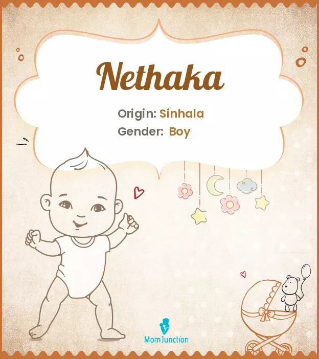 Baby Name Nethaka Meaning, Origin, And Popularity
