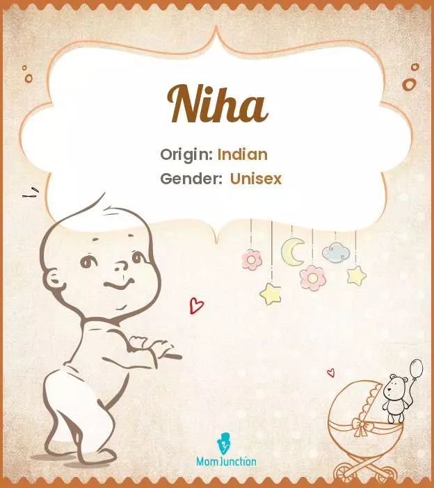 Explore Niha: Meaning, Origin & Popularity | MomJunction