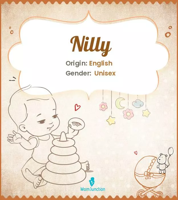 Explore Nilly: Meaning, Origin & Popularity | MomJunction