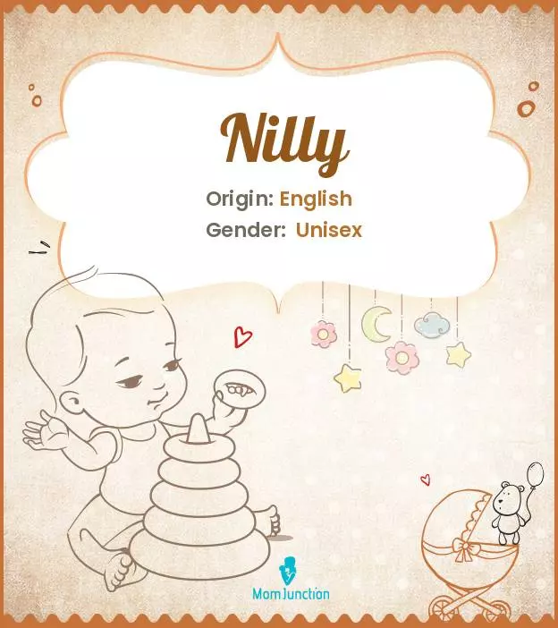 Explore Nilly: Meaning, Origin & Popularity_image