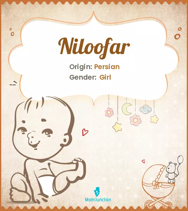 Explore Niloofar: Meaning, Origin & Popularity | MomJunction
