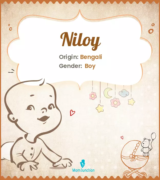 Explore Niloy: Meaning, Origin & Popularity | MomJunction