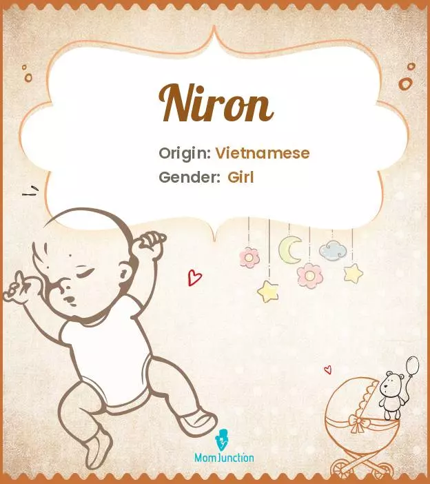 Niron_image