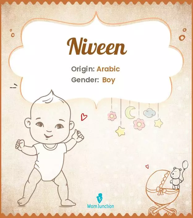 Niveen