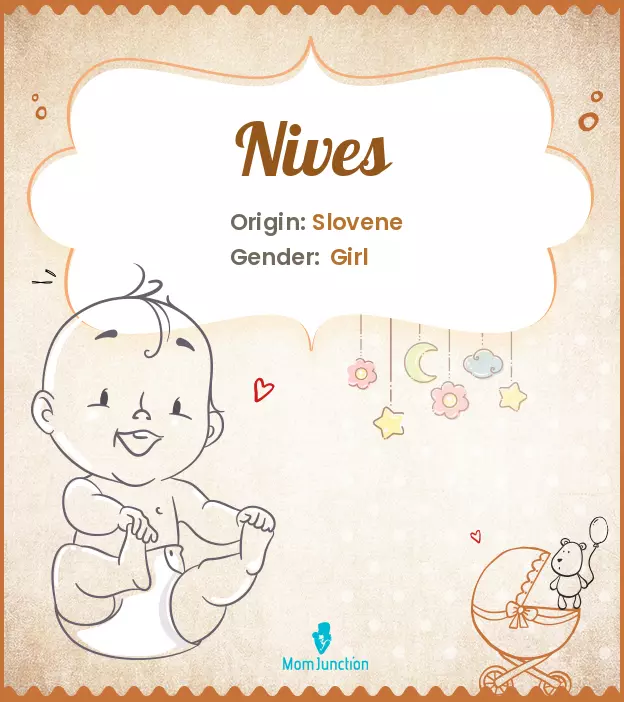 Explore Nives: Meaning, Origin & Popularity_image