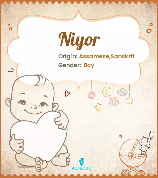 Baby Name Niyor Meaning, Origin, And Popularity