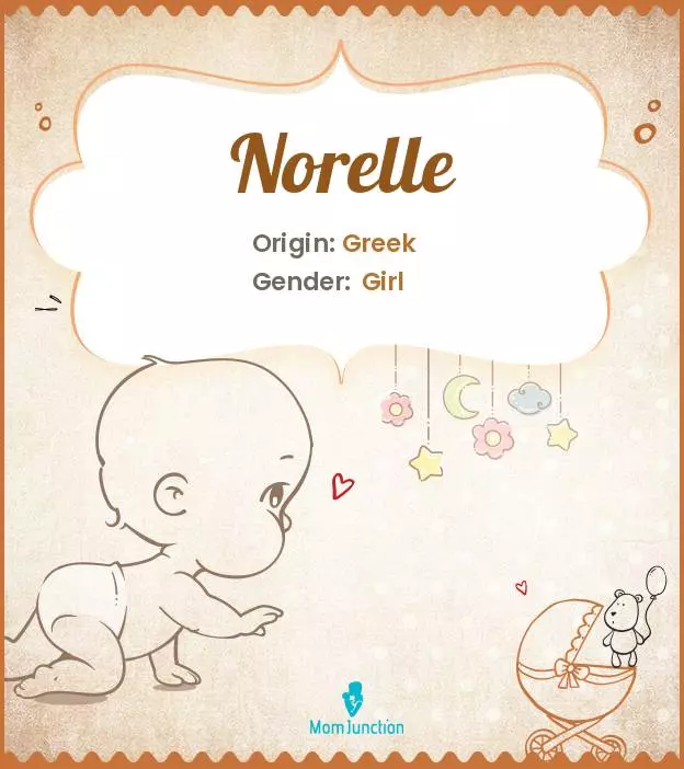 Explore Norelle: Meaning, Origin & Popularity_image