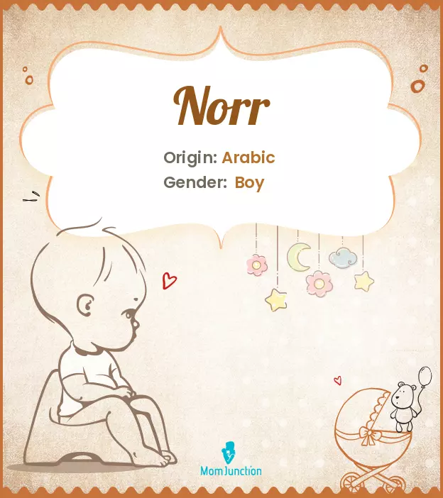 norr_image