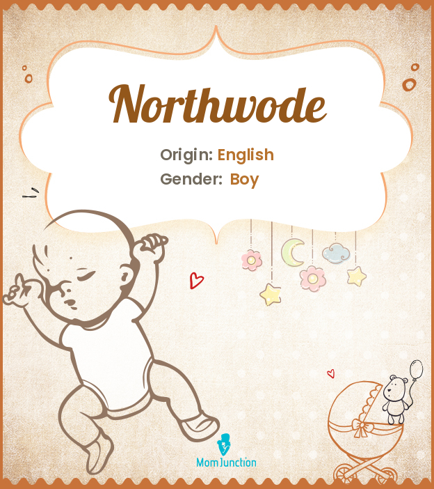 northwode