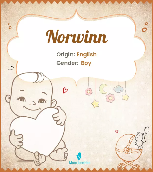 norwinn_image