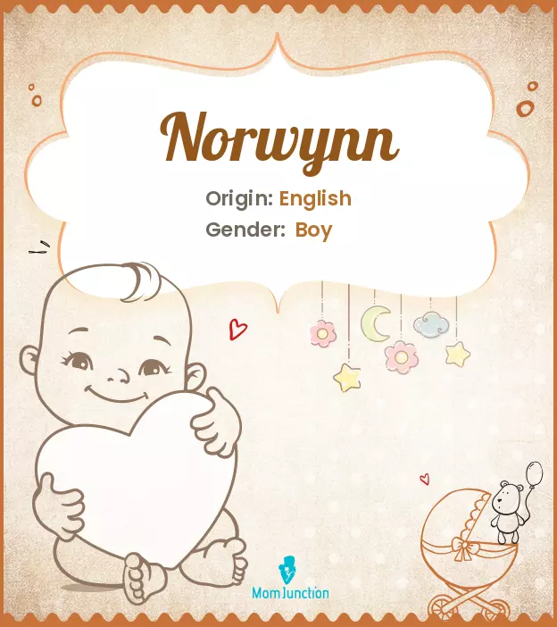 norwynn_image