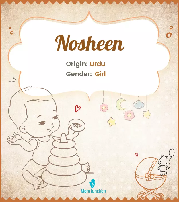 Explore Nosheen: Meaning, Origin & Popularity | MomJunction