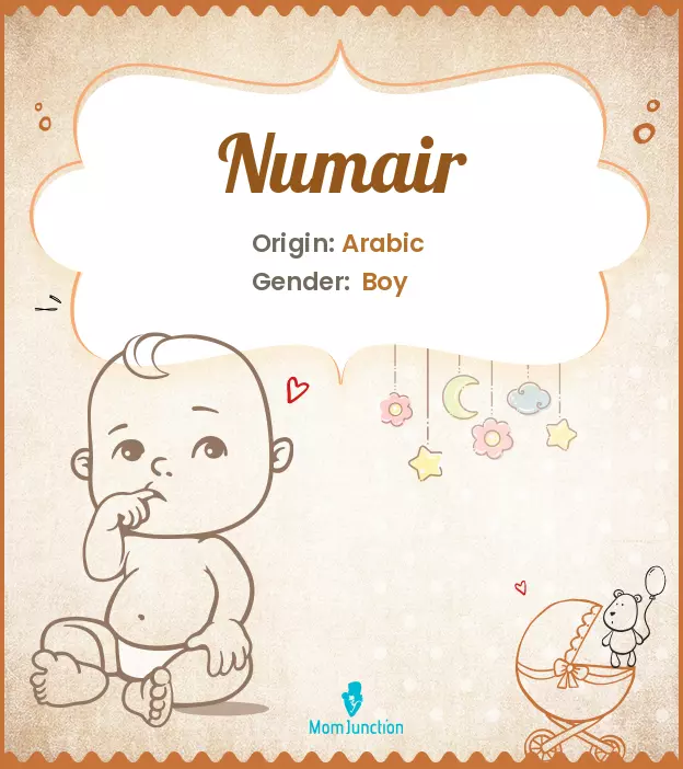 Explore Numair: Meaning, Origin & Popularity | MomJunction