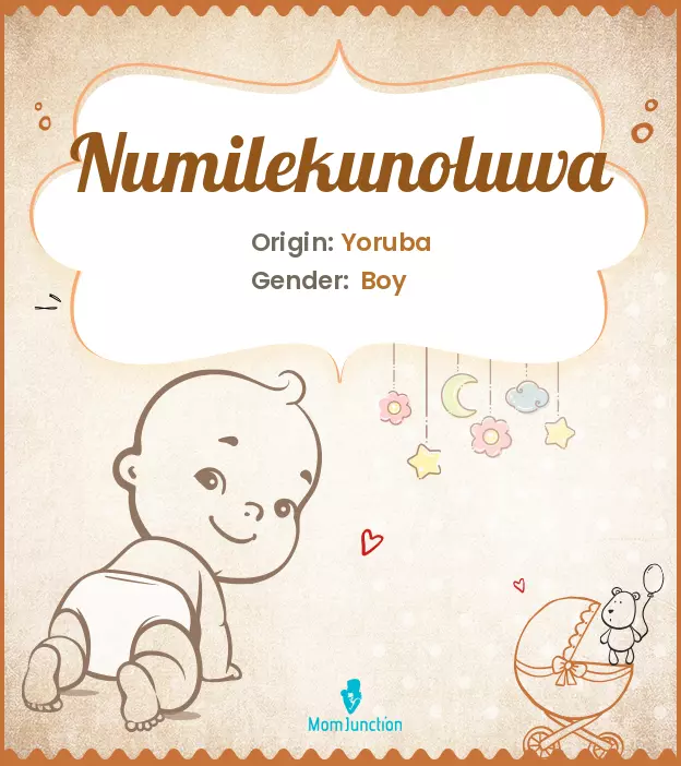 Numilekunoluwa_image