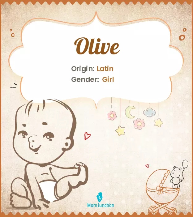 Olive Name Meaning, Origin, History, And Popularity_image