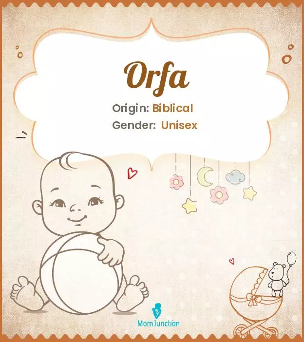 Explore Orfa: Meaning, Origin & Popularity_image