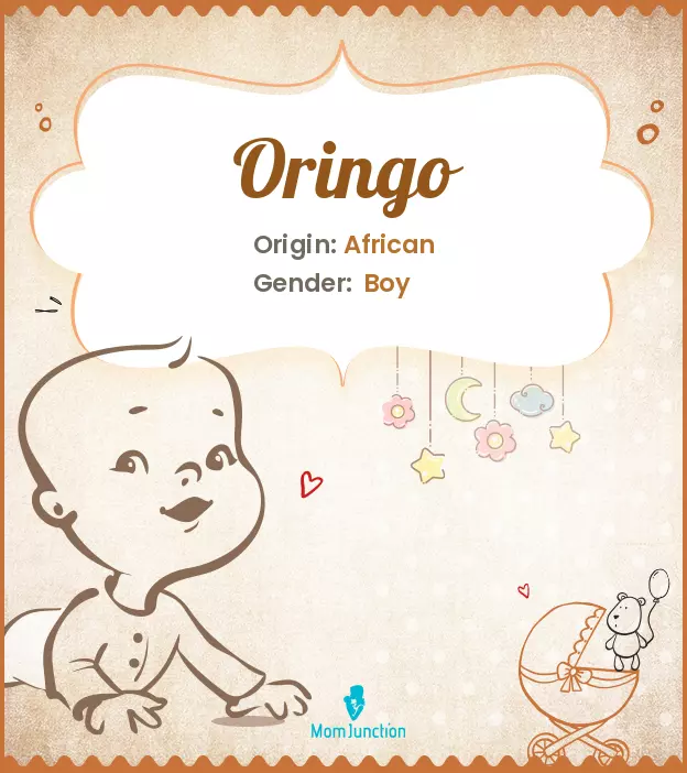 oringo_image