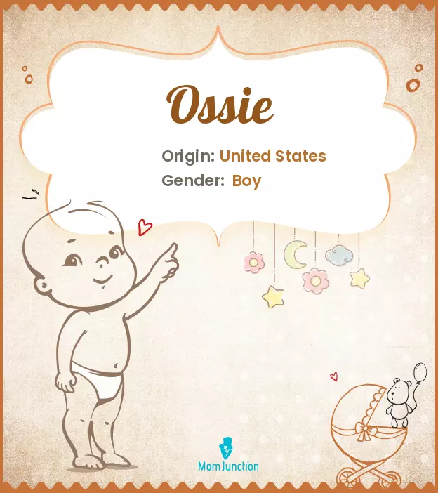 Explore Ossie: Meaning, Origin & Popularity | MomJunction