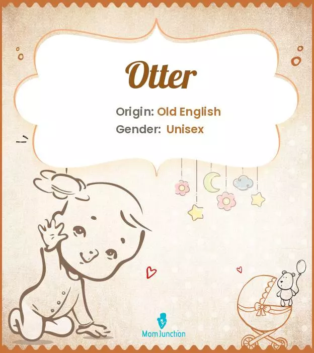 Baby Name otter Meaning, Origin, And Popularity