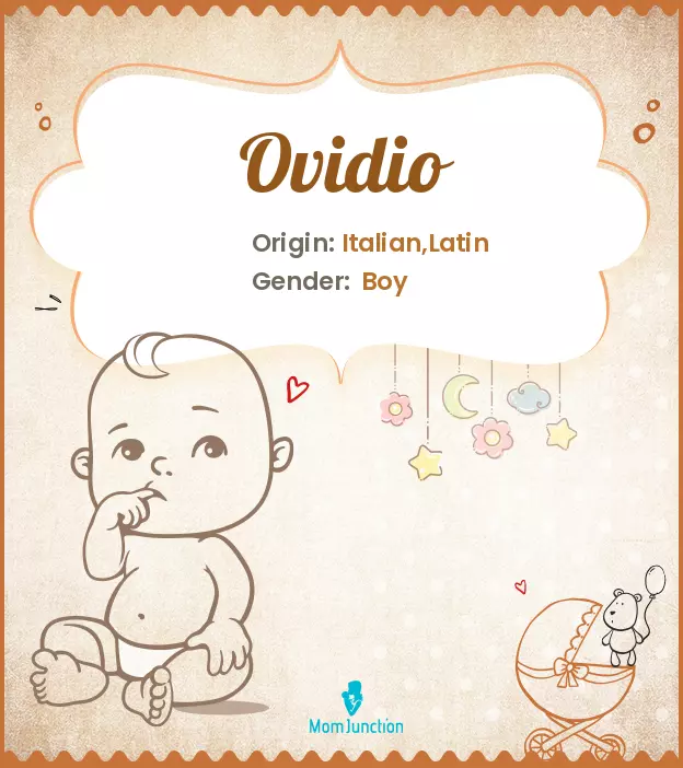 Explore Ovidio: Meaning, Origin & Popularity_image