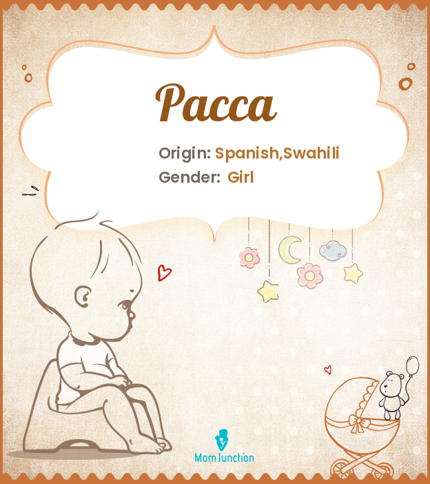 pacca