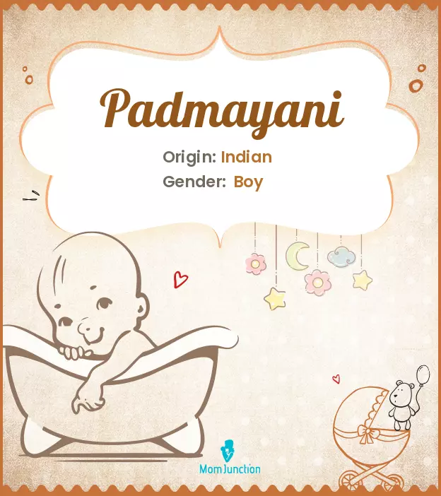 Baby Name Padmayani Meaning, Origin, And Popularity