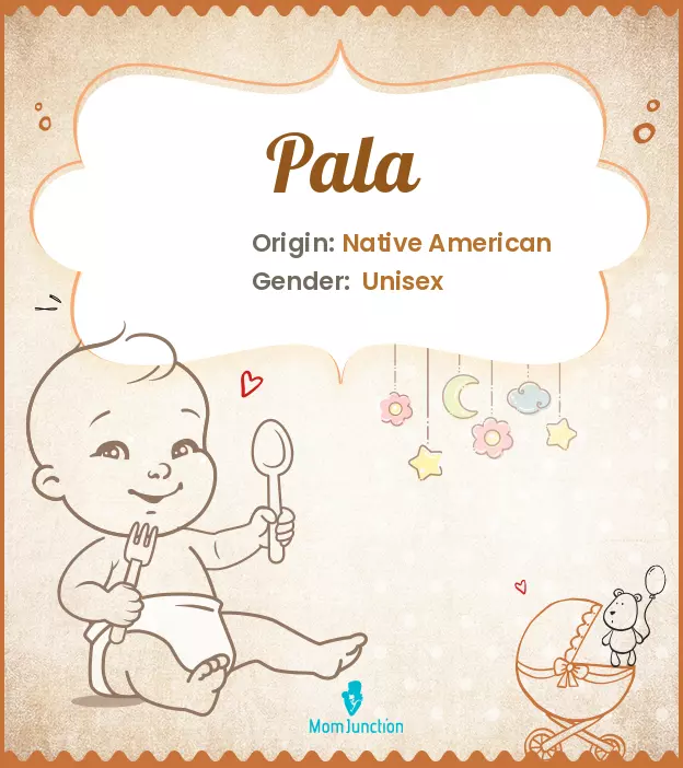 Explore Pala: Meaning, Origin & Popularity_image