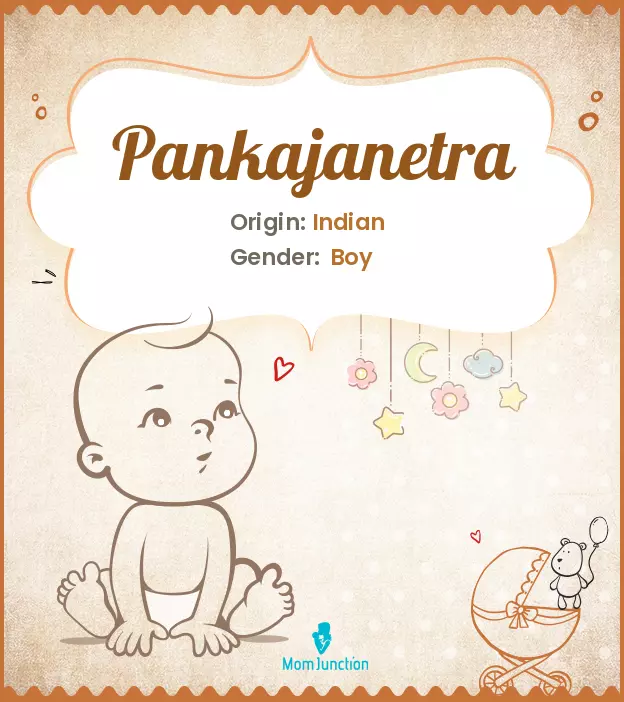 pankajanetra_image