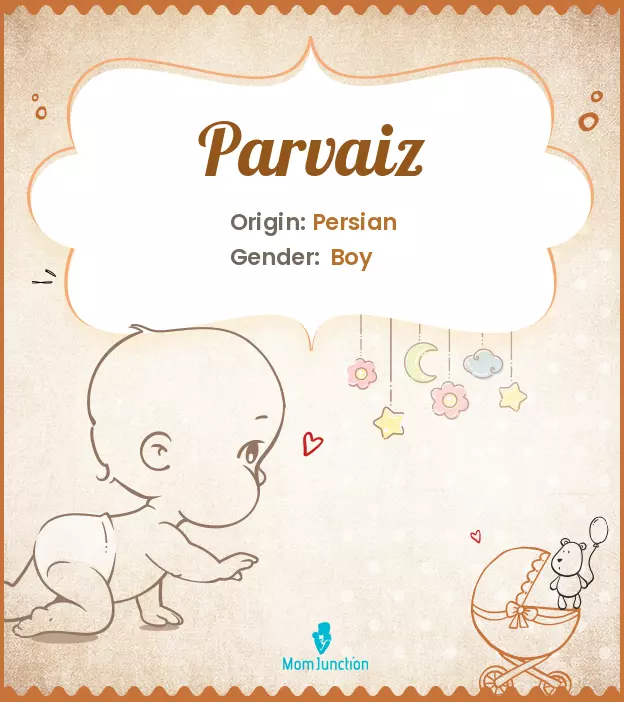 Explore Parvaiz: Meaning, Origin & Popularity | MomJunction