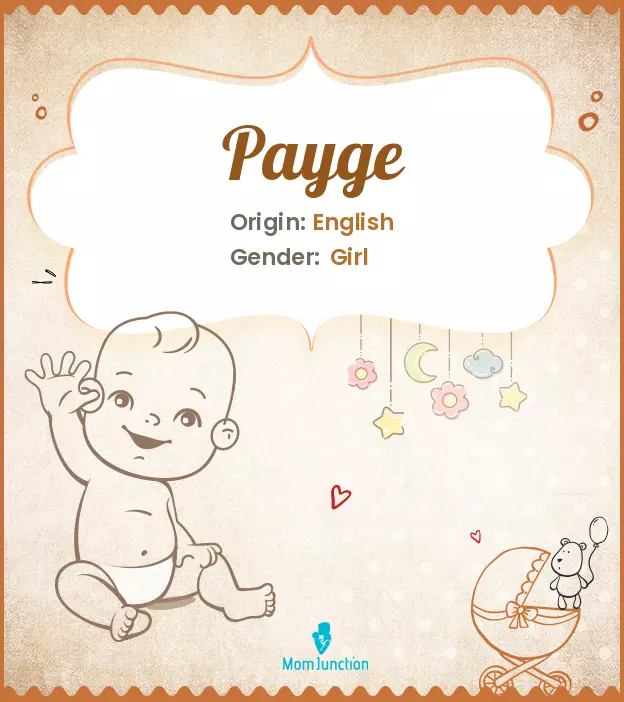 Explore Payge: Meaning, Origin & Popularity_image