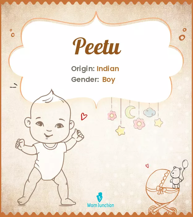 Baby Name Peetu Meaning, Origin, And Popularity