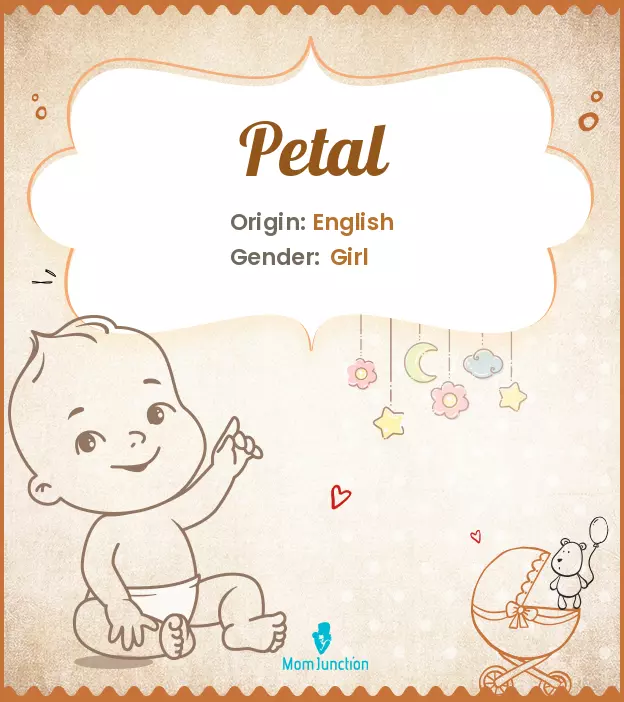 Explore Petal: Meaning, Origin & Popularity_image