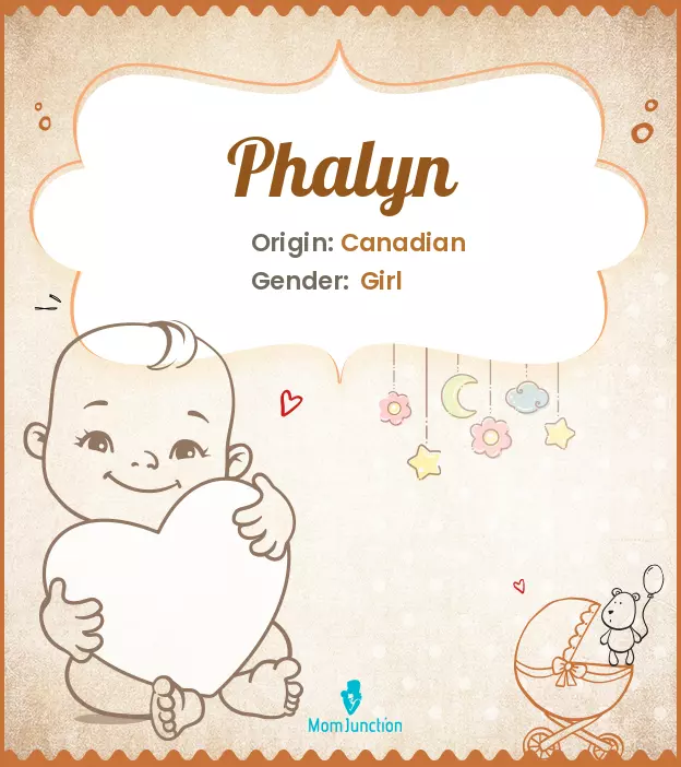 Phalyn_image