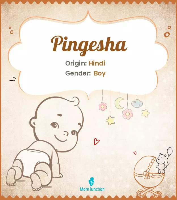 pingesha_image