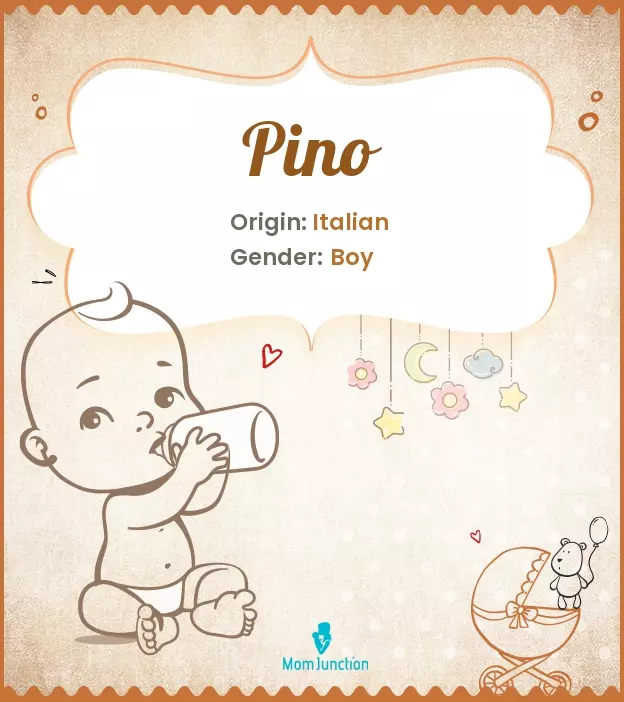 Explore Pino: Meaning, Origin & Popularity | MomJunction