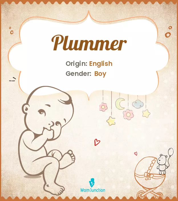 Explore Plummer: Meaning, Origin & Popularity_image