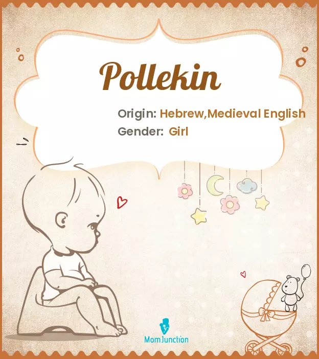 pollekin_image