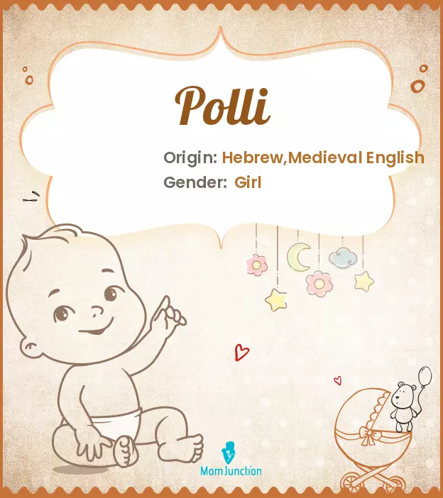 Baby Name polli Meaning, Origin, And Popularity