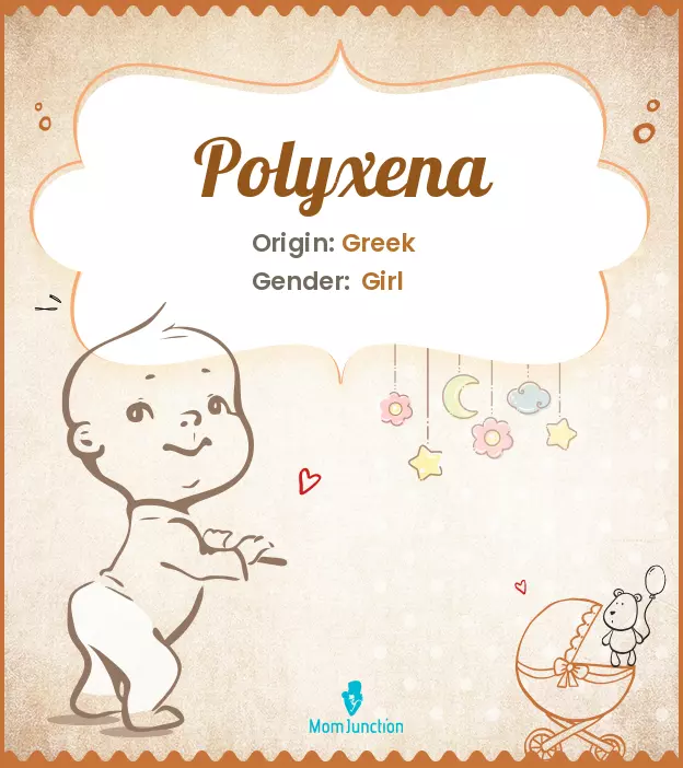 Explore Polyxena: Meaning, Origin & Popularity_image