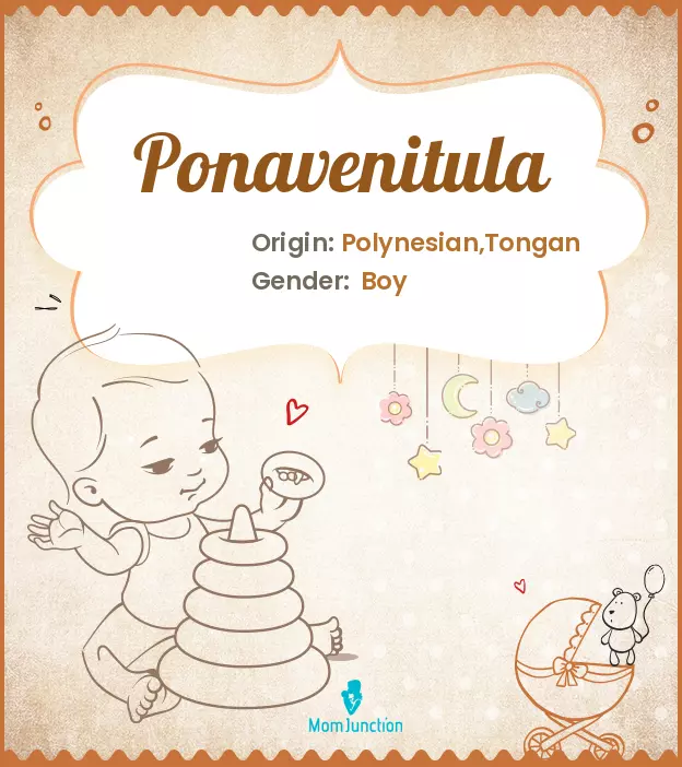 Ponavenitula