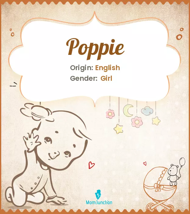 Explore Poppie: Meaning, Origin & Popularity | MomJunction