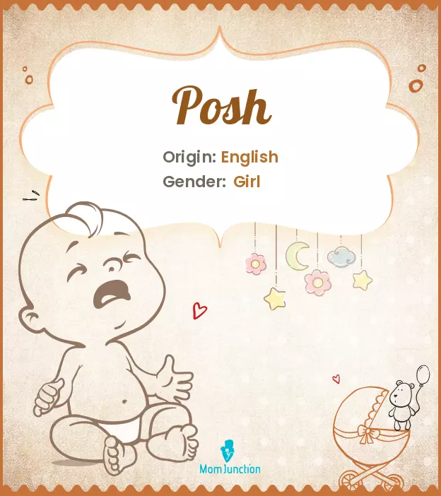 Explore Posh: Meaning, Origin & Popularity | MomJunction