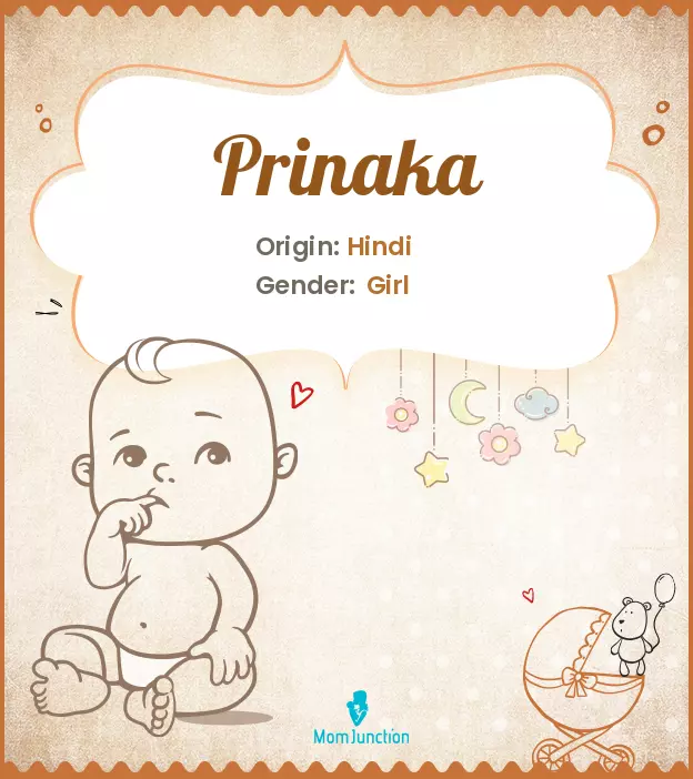 prinaka_image