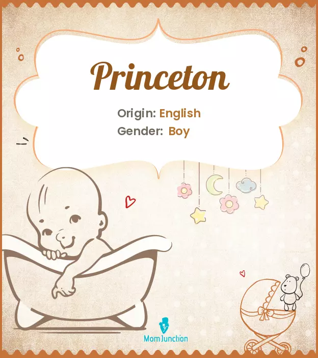 Explore Princeton: Meaning, Origin & Popularity_image