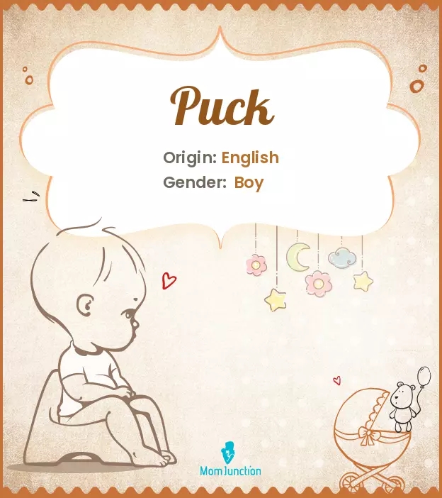 Explore Puck: Meaning, Origin & Popularity | MomJunction