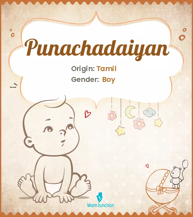 punachadaiyan_image