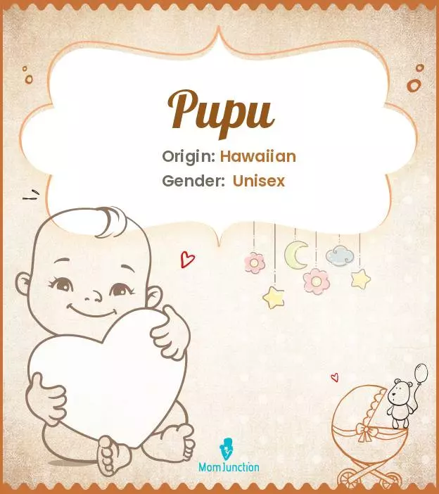 Explore Pupu: Meaning, Origin & Popularity | MomJunction