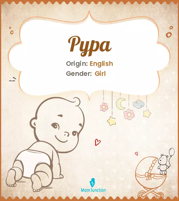 pypa_image